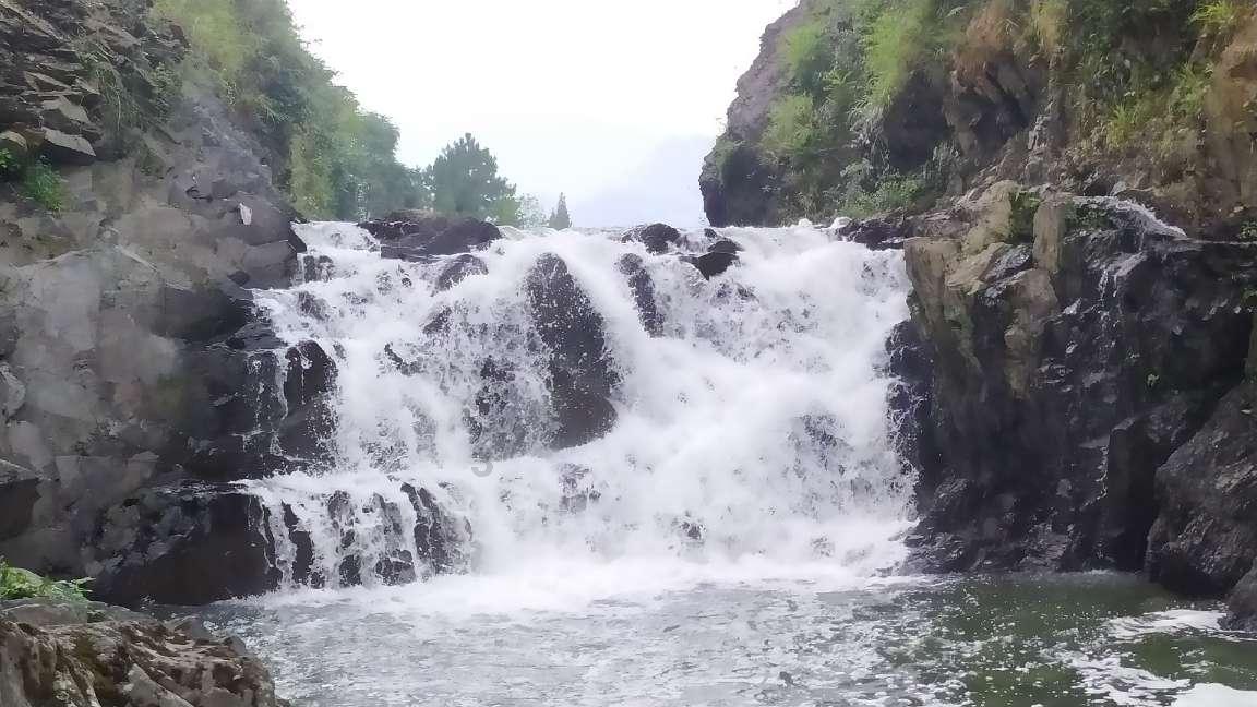 孤独的流浪者救援